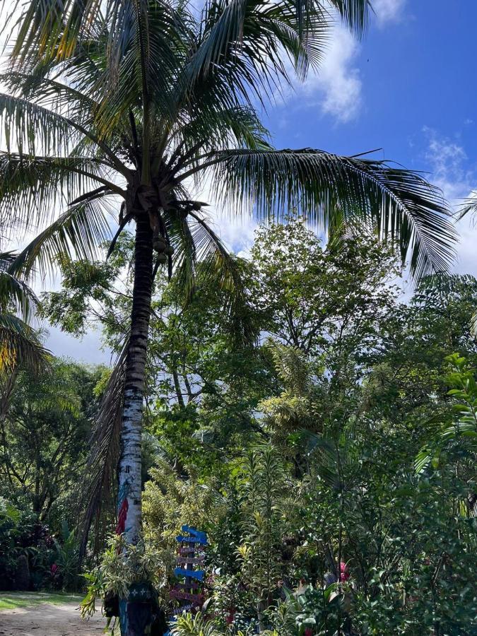 Recanto Da Vera Ilhabela Extérieur photo
